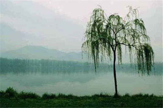 东洲岛(海南省三亚市东洲岛)