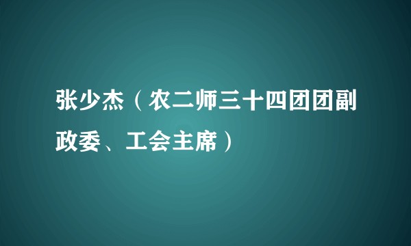 张少杰(农二师三十四团团副政委、工会主席)