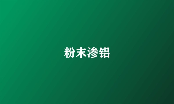 粉末渗铝