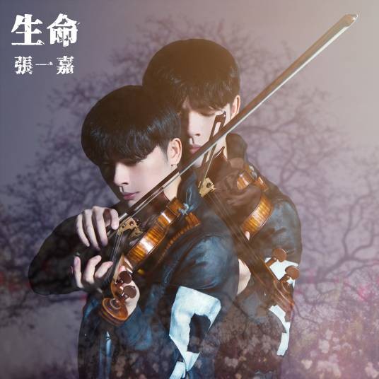 雪之花（张一嘉演唱歌曲）