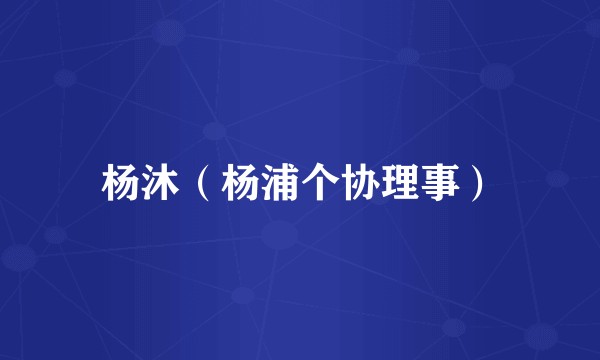 杨沐（杨浦个协理事）