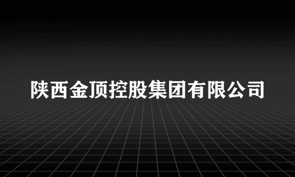 陕西金顶控股集团有限公司