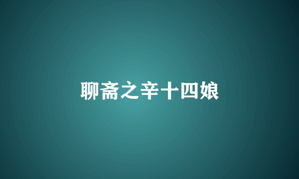 聊斋之辛十四娘