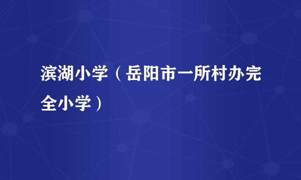 滨湖小学（岳阳市一所村办完全小学）