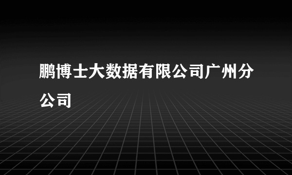 鹏博士大数据有限公司广州分公司