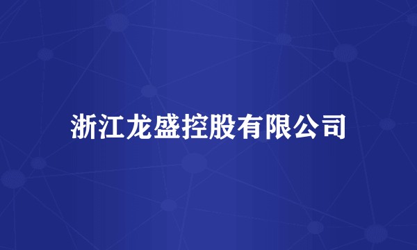 浙江龙盛控股有限公司