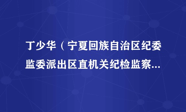 丁少华（宁夏回族自治区纪委监委派出区直机关纪检监察工委二级主任科员）