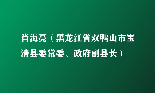 肖海亮（黑龙江省双鸭山市宝清县委常委、政府副县长）