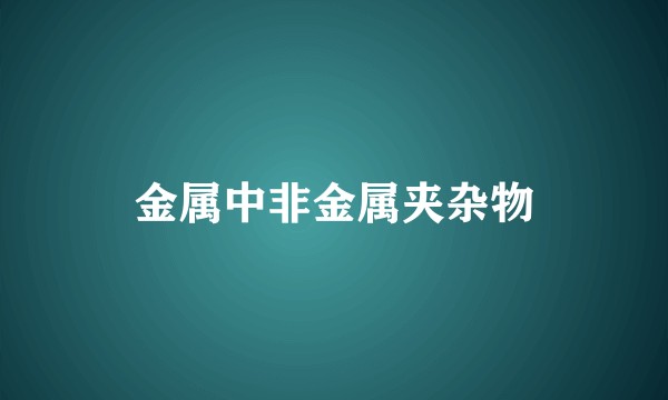 金属中非金属夹杂物