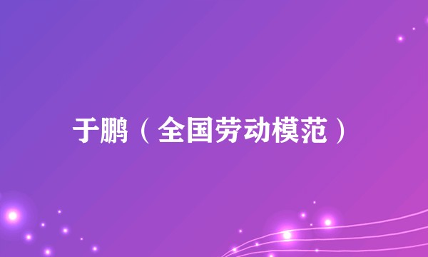 于鹏（全国劳动模范）