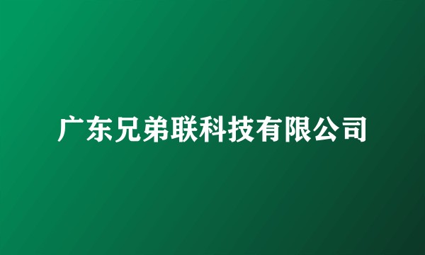 广东兄弟联科技有限公司