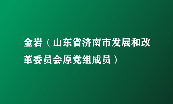 金岩(山东省济南市发展和改革委员会原党组成员)