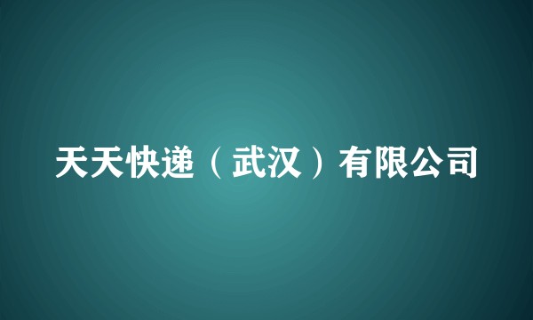 天天快递（武汉）有限公司