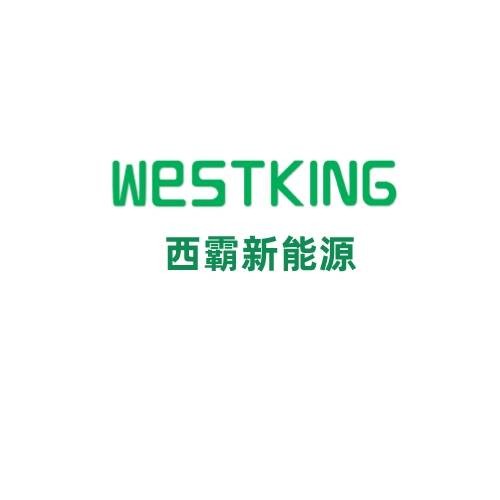 浙江西霸新能源科技有限公司
