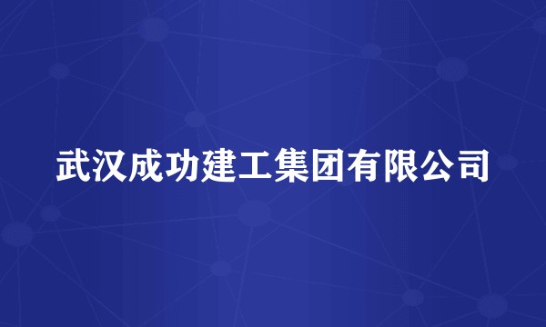 武汉成功建工集团有限公司