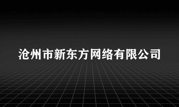 沧州市新东方网络有限公司