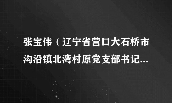 张宝伟(辽宁省营口大石桥市沟沿镇北湾村原党支部书记兼村委会主任)