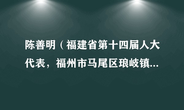 陈善明(福建省第十四届人大代表,福州市马尾区琅岐镇金砂管理区党委书记)