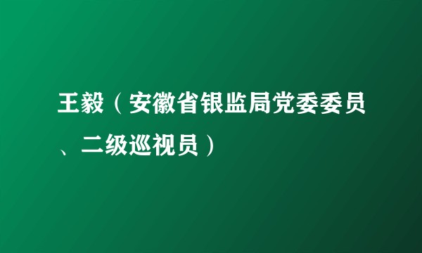 王毅(安徽省银监局党委委员、二级巡视员)