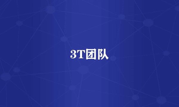 3T团队