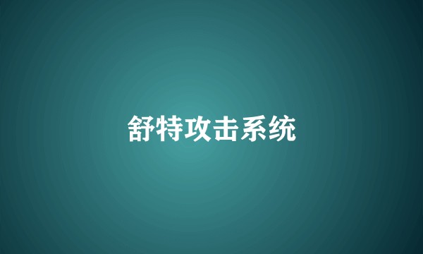 舒特攻击系统