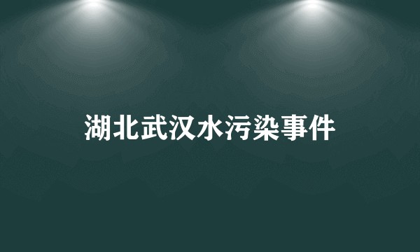 湖北武汉水污染事件