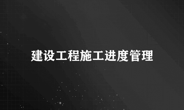 建设工程施工进度管理
