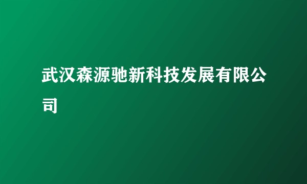 武汉森源驰新科技发展有限公司