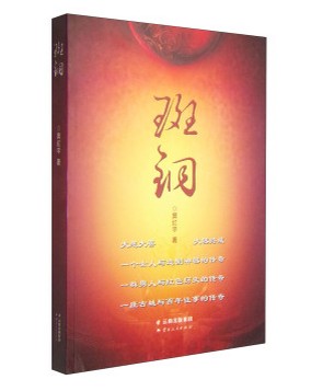 斑铜(2013年云南人民出版社出版的图书)