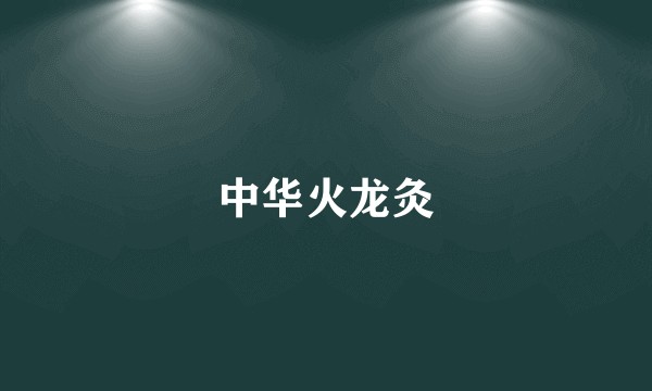 中华火龙灸
