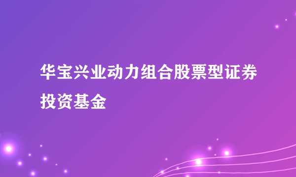 华宝兴业动力组合股票型证券投资基金