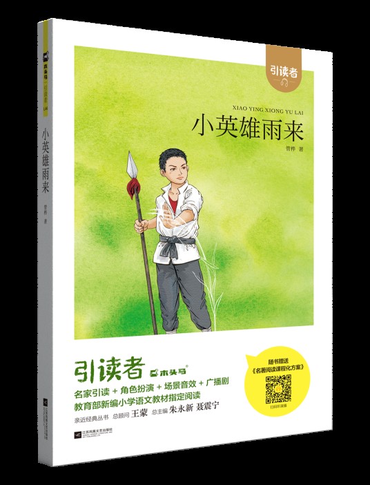 小英雄雨来（2019年江苏凤凰文艺出版社出版的图书）