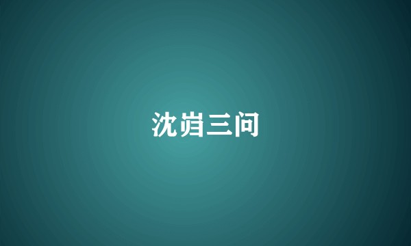 沈岿三问
