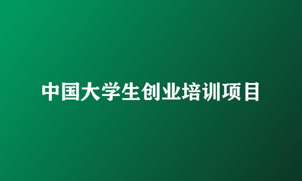 中国大学生创业培训项目