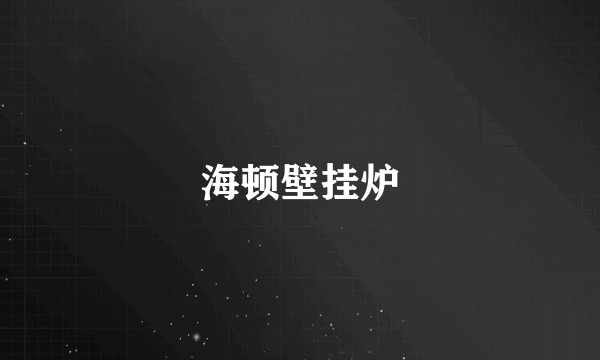 海顿壁挂炉
