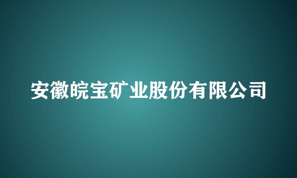 安徽皖宝矿业股份有限公司
