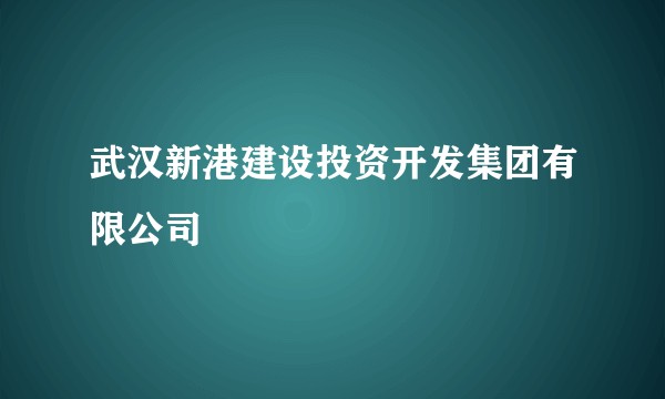 武汉新港建设投资开发集团有限公司