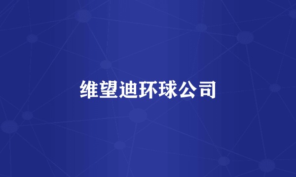 维望迪环球公司