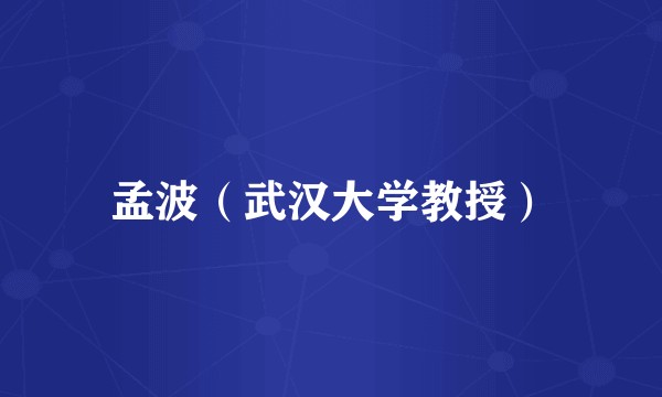 孟波(武汉大学教授)