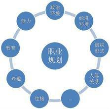 个人职业生涯管理