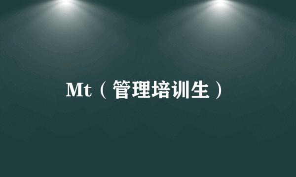 Mt（管理培训生）