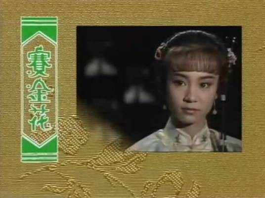 赛金花（1988年刘雪华主演的电视剧）