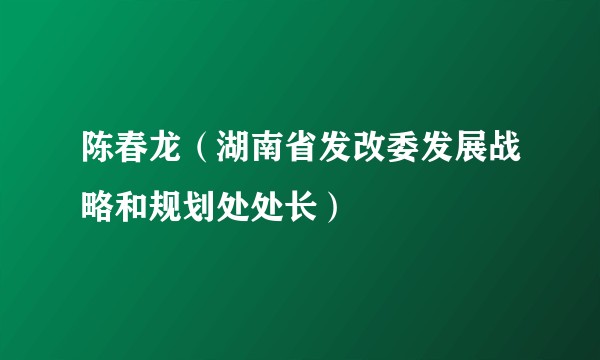 陈春龙（湖南省发改委发展战略和规划处处长）