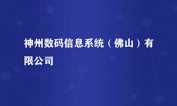 神州数码信息系统（佛山）有限公司