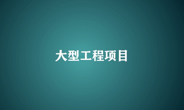 大型工程项目