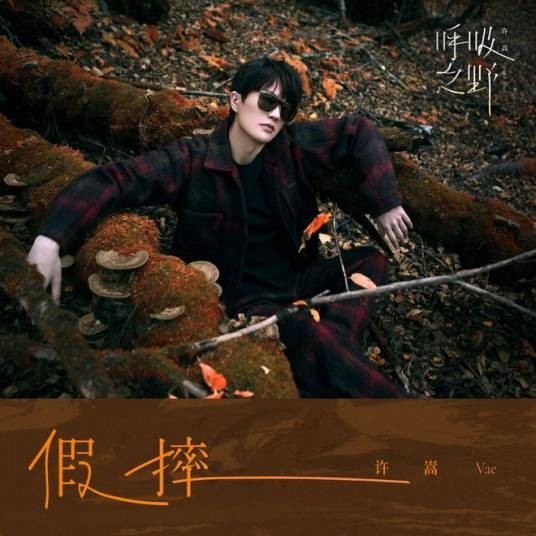假摔（2021年许嵩演唱的歌曲）