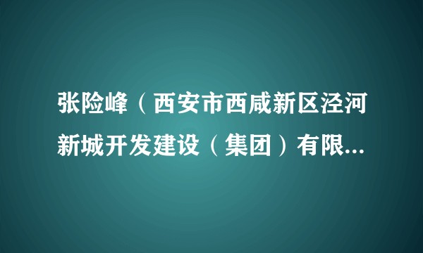 张险峰（西安市西咸新区泾河新城开发建设（集团）有限公司党委原副书记）