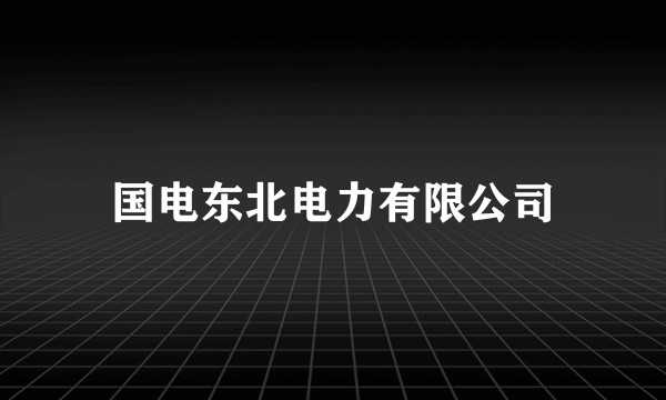 国电东北电力有限公司