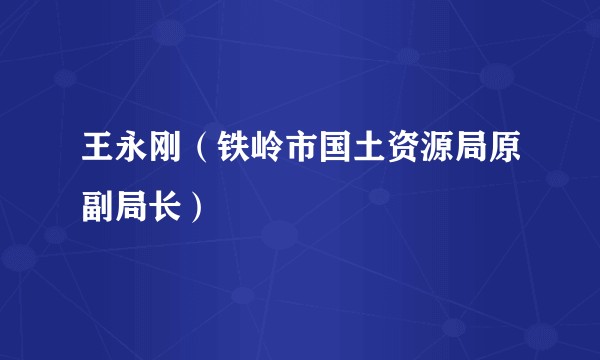 王永刚(铁岭市国土资源局原副局长)