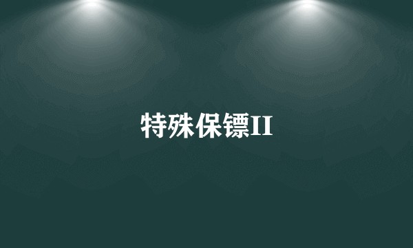 特殊保镖II